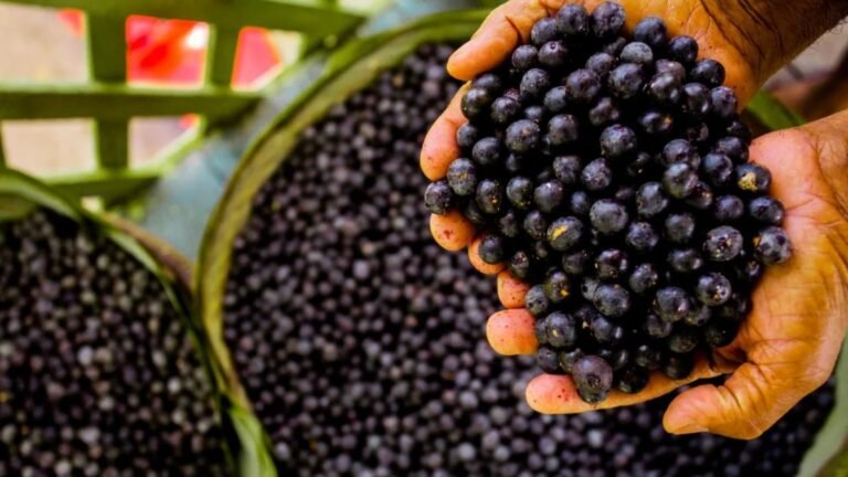 Açai