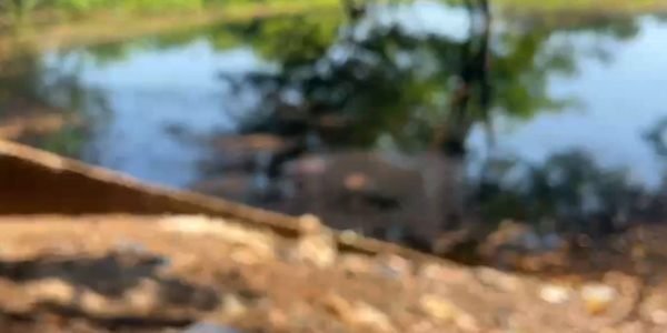 6e3b547b-dbf4-4a6b-b67e-28e278218c52