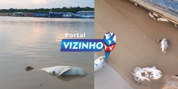 85006b98-4b8b-480a-836d-5ba1e98fe503