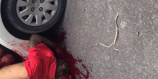 Foto: Portal do Vizinho