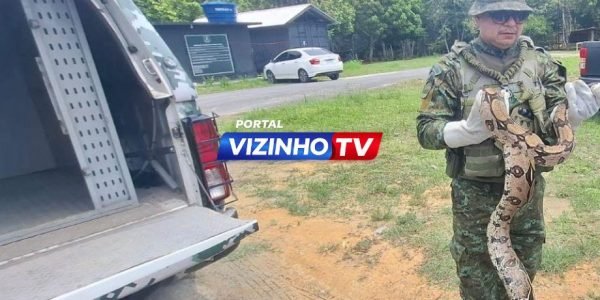 DESTACADA (1)