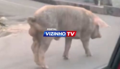 DESTACADA (1)