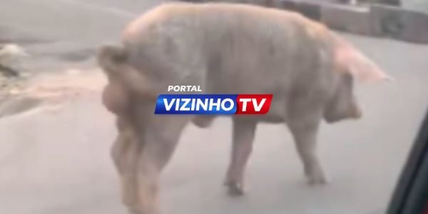 DESTACADA (1)