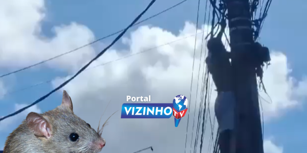 Design sem nome (24)