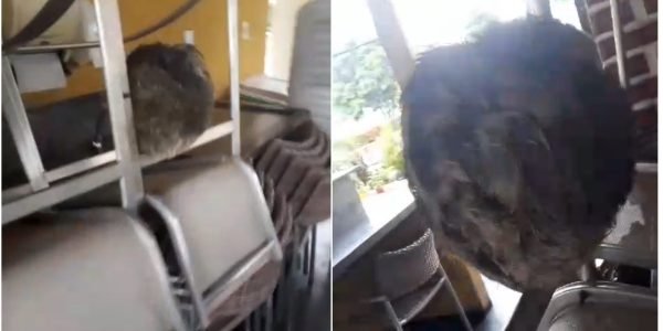 PhotoCollageMaker_20240603_090424114