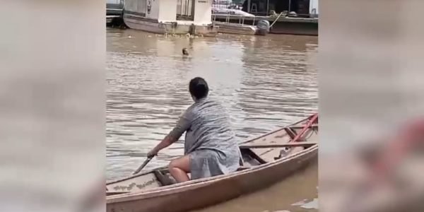 Screenshot_20240606_092851_WhatsApp