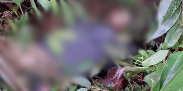 Screenshot_20240610_113504_Facebook