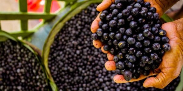 Açai