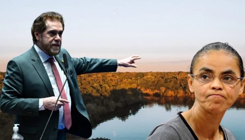 Senador Plínio Valério cobra explicações de Marina Silva sobre leilão de florestas no Rio Juma: moradores não foram consultados