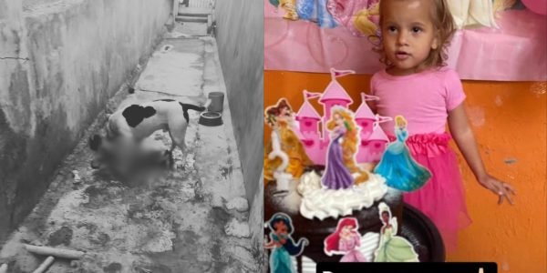 WhatsApp Image 2025-07-22 at 11.39.09