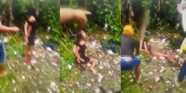 WhatsApp Image 2025-07-24 at 20.04.36