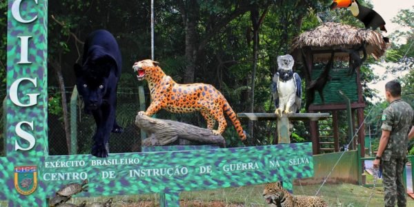 WhatsApp Image 2025-08-19 at 13.01.26