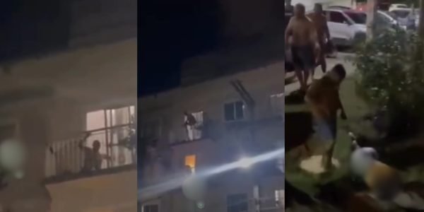 WhatsApp Image 2025-08-20 at 12.41.08