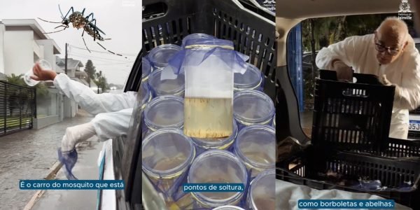 WhatsApp Image 2025-08-28 at 12.13.12