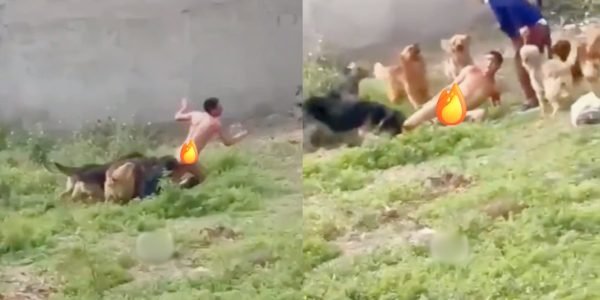 WhatsApp Image 2025-09-03 at 13.08.08