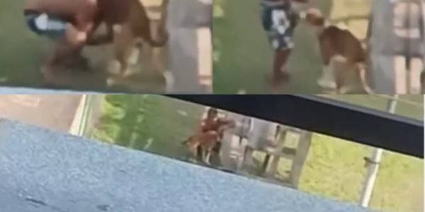 WhatsApp Image 2025-09-04 at 09.21.40