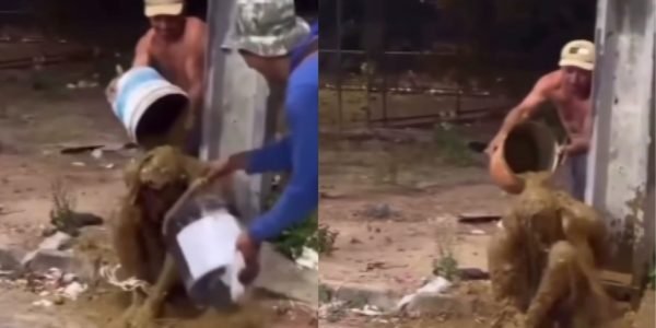 WhatsApp Image 2025-10-23 at 11.33.36