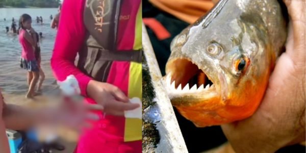 WhatsApp Image 2025-10-28 at 10.42.43