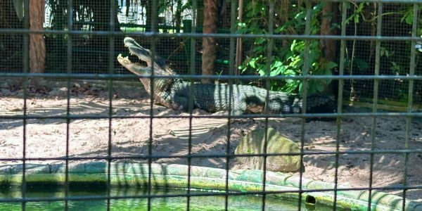 WhatsApp Image 2025-11-10 at 15.03.26