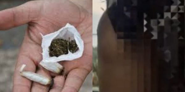 WhatsApp Image 2025-11-15 at 12.25.42