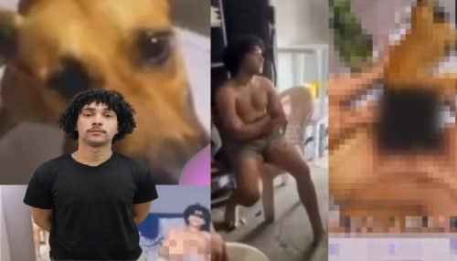 WhatsApp Image 2026-01-03 at 12.43.34