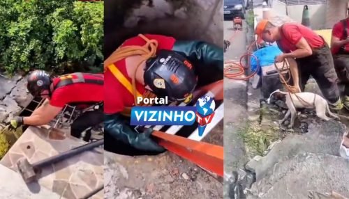 WhatsApp Image 2026-01-04 at 14.24.27