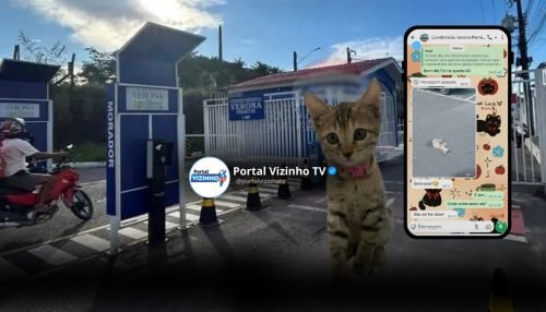 WhatsApp Image 2026-01-15 at 16.53.46