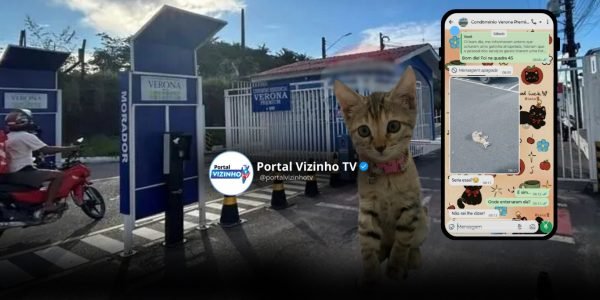 WhatsApp Image 2026-01-15 at 16.53.46