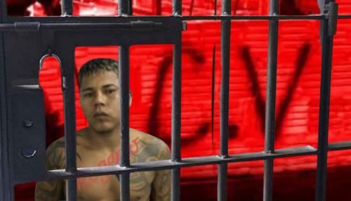 WhatsApp Image 2026-01-29 at 15.12.00