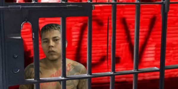 WhatsApp Image 2026-01-29 at 15.12.00