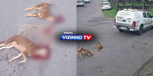 WhatsApp Image 2026-02-01 at 13.29.25