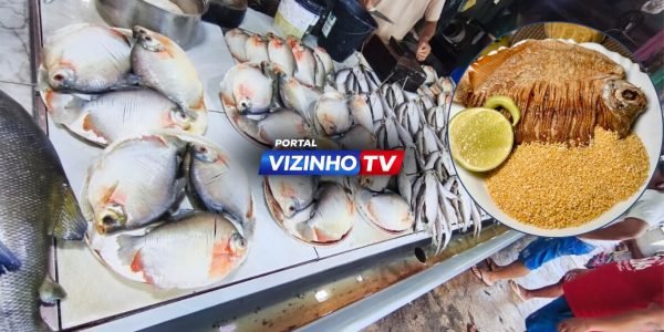 WhatsApp Image 2026-02-01 at 14.44.15