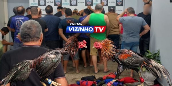 WhatsApp Image 2026-02-02 at 11.50.49