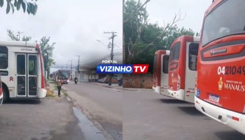 WhatsApp Image 2026-02-10 at 11.42.20