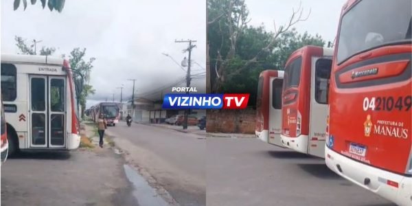 WhatsApp Image 2026-02-10 at 11.42.20