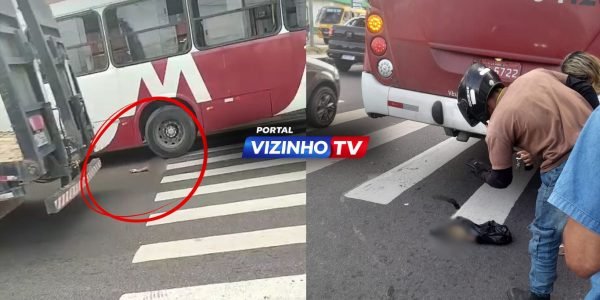 WhatsApp Image 2026-02-11 at 11.54.32