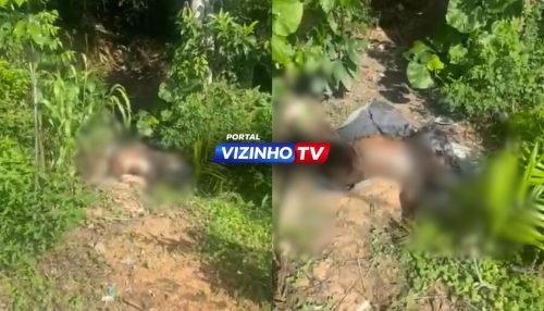 WhatsApp Image 2026-02-12 at 12.38.44 (1)