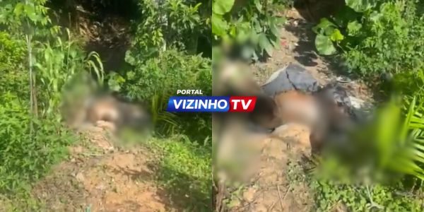 WhatsApp Image 2026-02-12 at 12.38.44 (1)