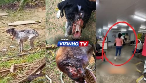 WhatsApp Image 2026-03-10 at 10.07.01