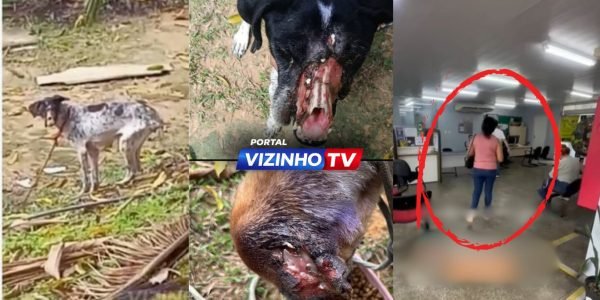 WhatsApp Image 2026-03-10 at 10.07.01