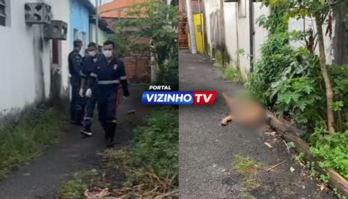 WhatsApp Image 2026-03-12 at 11.31.10