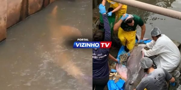 WhatsApp Image 2026-03-17 at 13.31.06