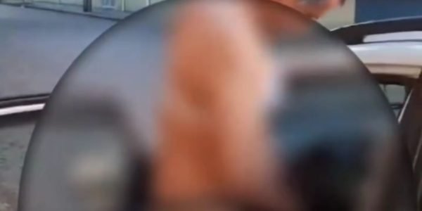 d34aa4fc-fc44-426e-8331-7696c5cd9578