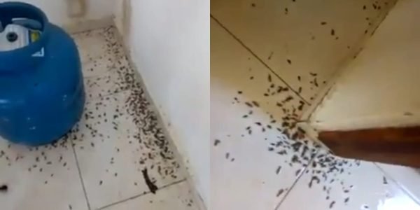 ddb37835-b547-4167-ae3f-f61a0d6391d6