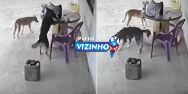 e47de55b-95eb-44dd-909c-ca16e6da3541