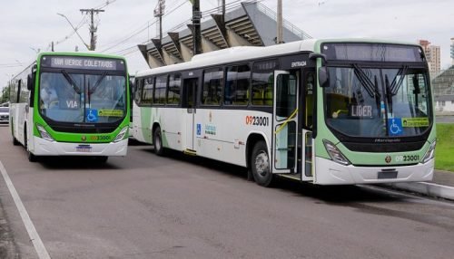 onibus-2-768x512